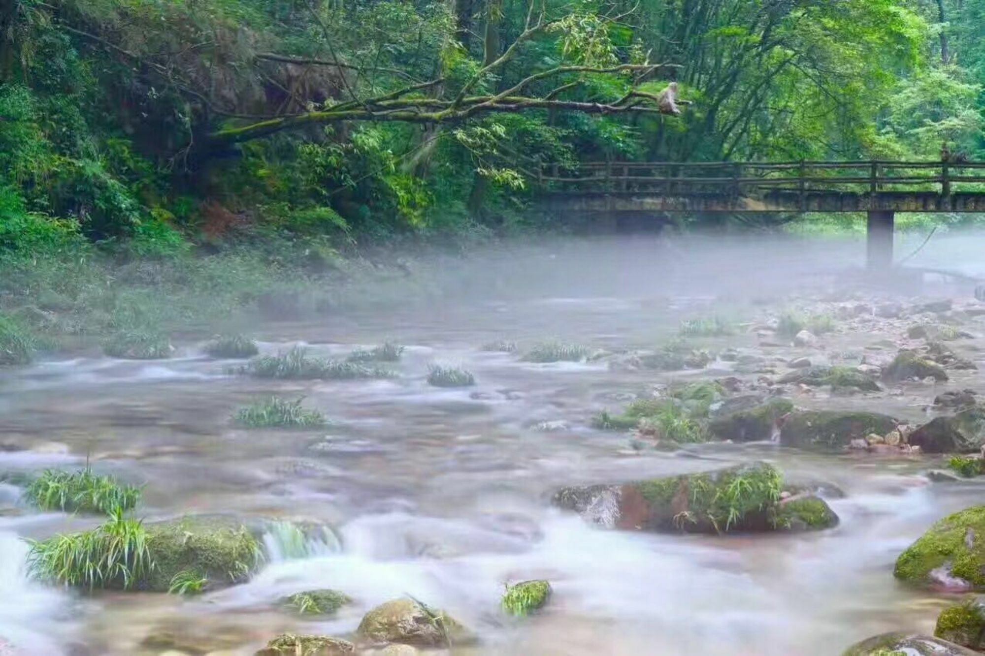 Zhangjiajie Yueranju Hostel Buitenkant foto